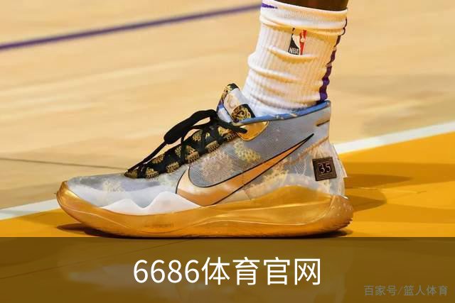 6686体育官网公司简介